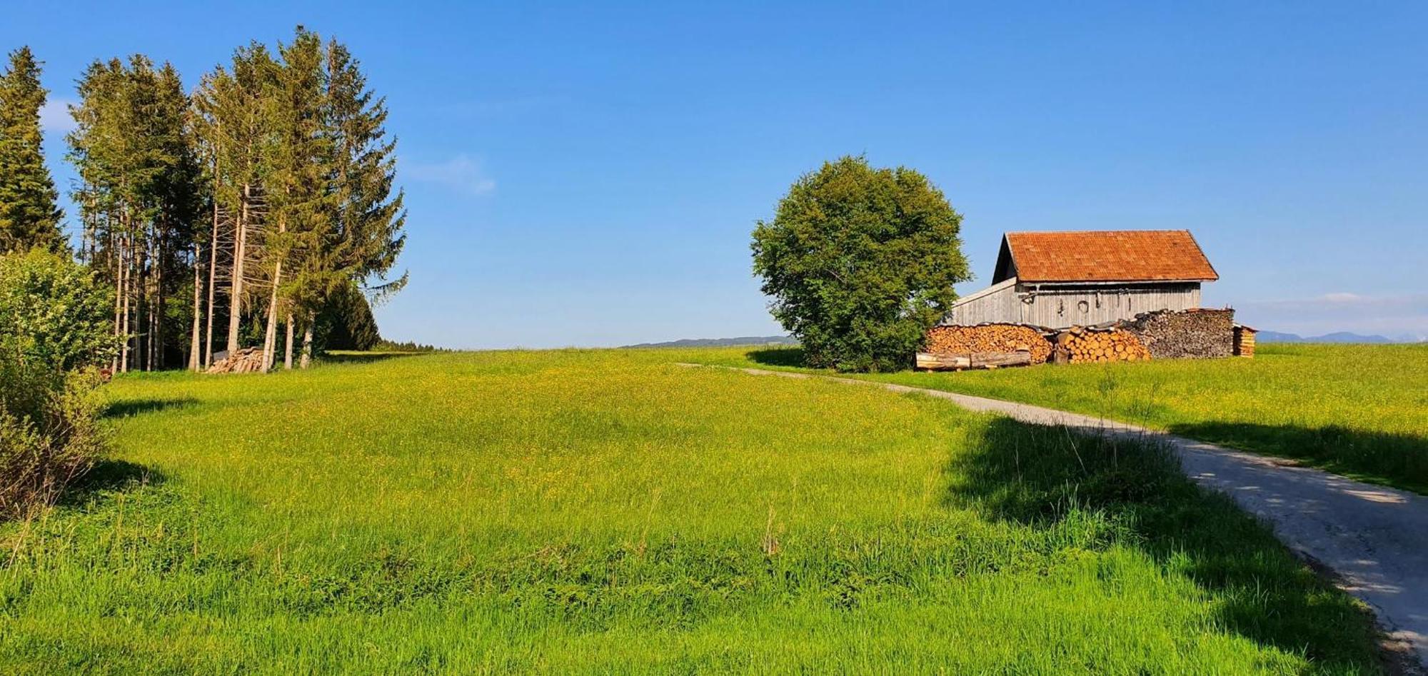 Lechbruck Am See Feriendorf Hochbergle Haus 140 Kültér fotó